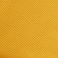 Women's Microgrid Fleece Zip Neck Top Iris Yellow